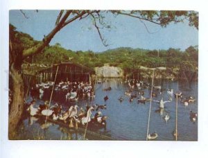 179680 HONG KONG New Territories Farming Village old postcard