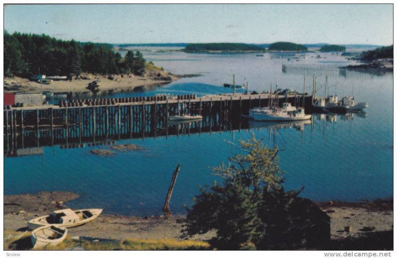 Wharf Fishing Village,  Bay of Fundy,  Nova Scotia,  Canada,  PU_1964