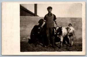 1911  RPPC  Pardeeville Wisconsin  Young Farmer with Cow Calf Postcard