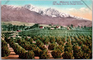 CA-California, Midwinter In California, Old Baldy From Orange Groves, Postcard