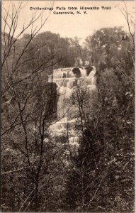 New York Cazenovia Chittenango Falls From Hiawatha Trail Albertype