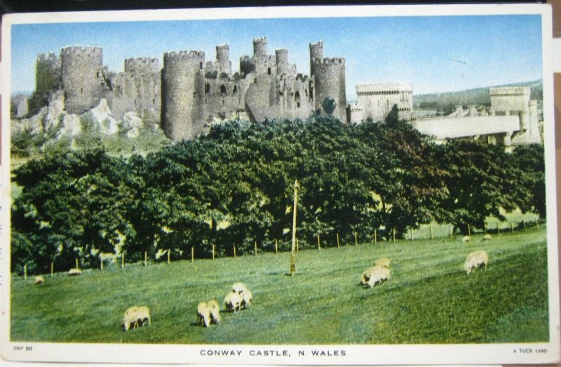 Wales Conway Castle - posted 1954