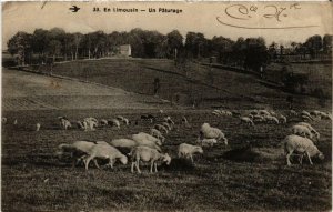 CPA En Limousin - Un Paturage (611128)