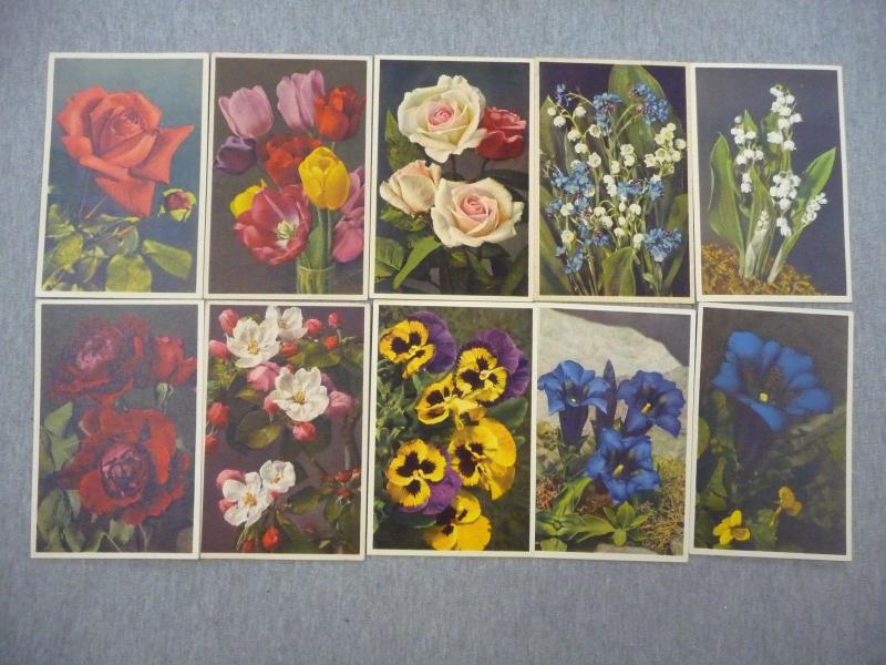 POSTCARD 27 POSTCARDS OF FLOWERS