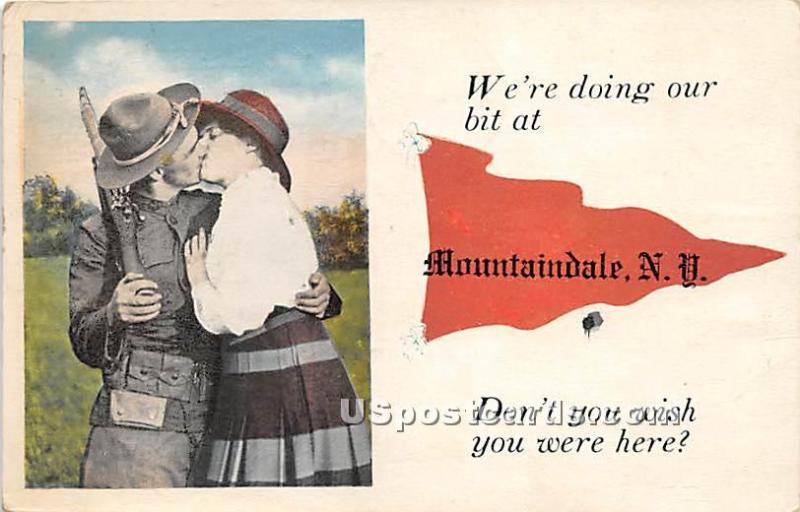 We're doing our bit Mountaindale NY 1918