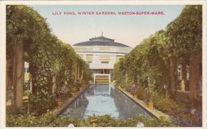 England Weston-Super-Mare Lily Pond Winter Gardens
