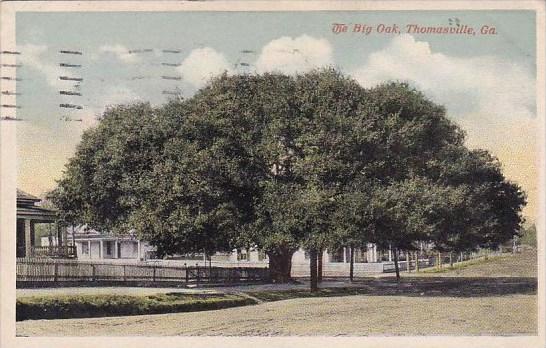 The Big Oak Thamasville Georgia 1920