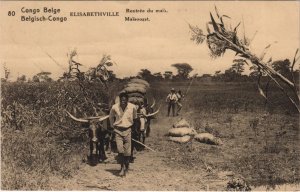 PC ELISABETHVILLE RENTREE DU MAIS BELGIAN CONGO ETHNIC TYPE (a28584)