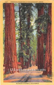Richardson's Grove - Redwood Highway, California CA  