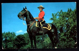 Canada Royal Canadian Mounted Police Mountie on a Horse pm ~ Chrome