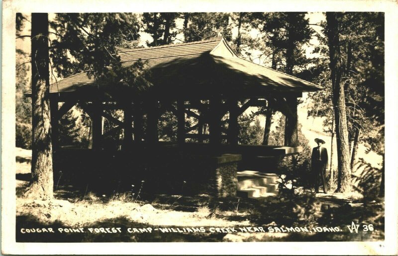 RPPC Cougar Point Forest Camp Williams Creek Salmon Idaho ID Postcard C10