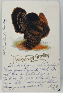 Thanksgiving Greetings Turkey 1906 Vintage Antique Postcard