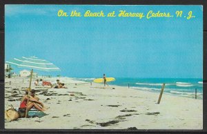 New Jersey, Harvey Cedars On The Beach - [NJ-144]