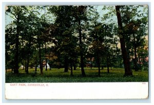 c1905s Gant Park Zanesville Ohio OH Unposted Antique Postcard