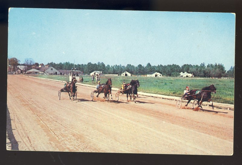 Southern Pines North Carolina/NC Postcard, Harness Racing At Nearby Pinehurst