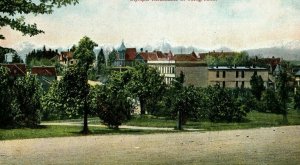 C.1910 Wright Park & Town View Tacoma Washington Vintage Postcard P94