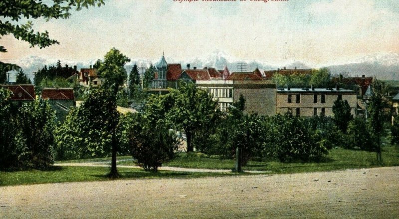 C.1910 Wright Park & Town View Tacoma Washington Vintage Postcard P94 