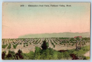 Flathead County Montana MT Postcard Whiteside's Fruit Farm Flathead Valley