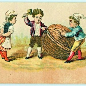 c1880s No Ad Boys Break Open Giant Walnut for Girl Victorian Trade Card Lith C14