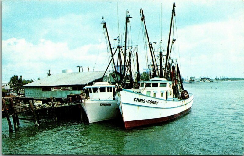Shrimp Boats Ft Myers FL Florida Postcard VTG UNP Vintage Unused Chrome 