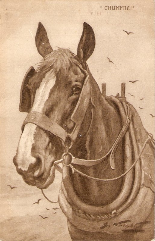 G. WRIGHT. Head of horse. Chummie Nice old vintage English postcard