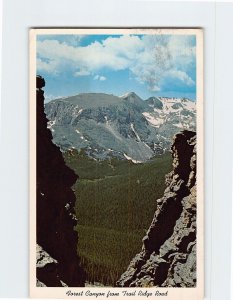 Postcard Forest Canyon from Trail Ridge Road Rocky Mountain National Park CO USA