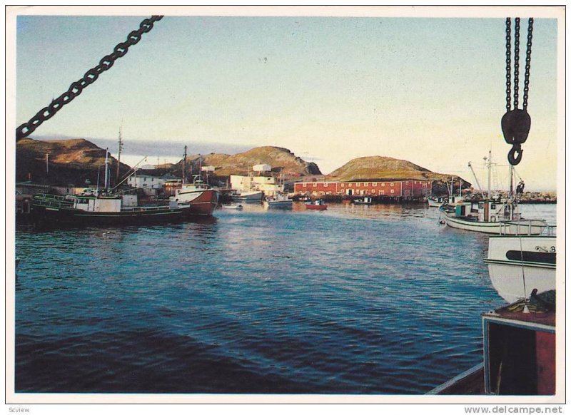 A Summer Evening In A Peaceful Newfoundland Fishing Village, Port De Grave, N...