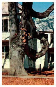 Postcard HOUSE SCENE Fryeburg Maine ME AS8101