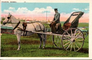 Canada Quebec Caleche Horse Drawn Carriage