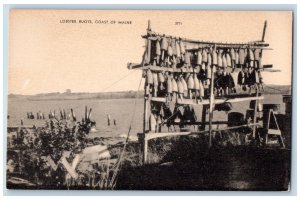 c1950's Accessories Catching Creek Lobster Buoys Coast Of Maine Vintage Postcard