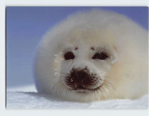 Postcard Seals