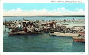 CORPUS CHRISTI, TX Texas  OPENING  OYSTERS    c1920s     Postcard