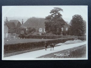 Kent TENTERDEN Westwell Farm shows FARMER HERDING SINGLE COW c1930 RP Postcard