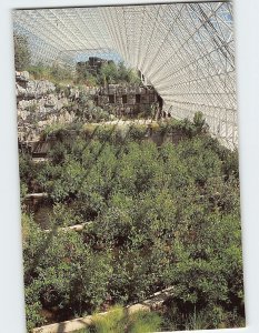 Postcard Marsh, Biosphere 2, Oracle, Arizona