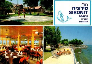 Tiberias, Israel  SIRONIT BEACH Resort~Kosher Restaurant ROADSIDE  4X6 Postcard
