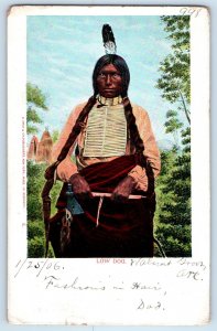 1906 Low Dog American Native Indian Headdress St. Louis Missouri MO Postcard