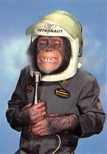 Chimpanzee astronaut Space Unused 