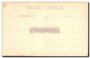 Old Postcard Cats Cat Kitten