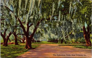 Pakenham Oaks New Orleans LA Louisana Postcard UNP VTG Curteich Unused Vintage 