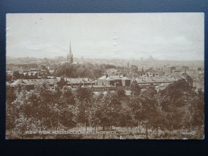 Norfolk NORWICH View from Mousehold HEATH c1920 Postcard by Valentine