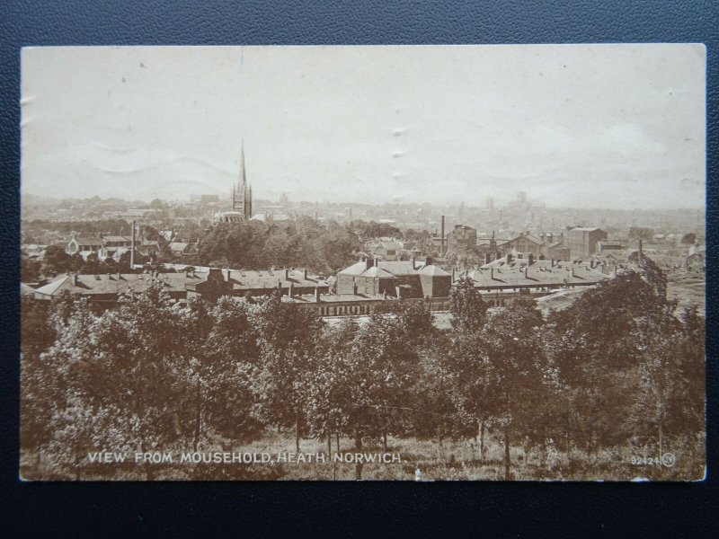 Norfolk NORWICH View from Mousehold HEATH c1920 Postcard by Valentine