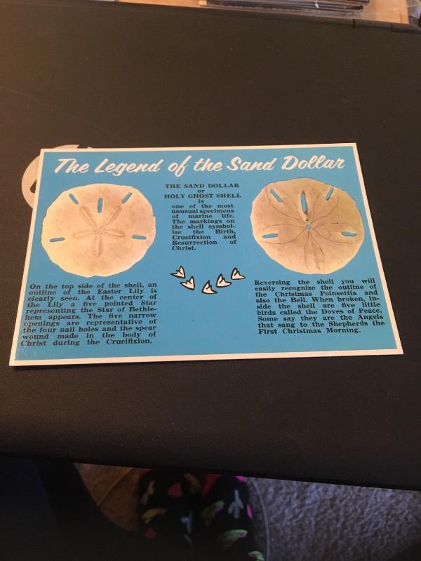 Vtg Postcard: The Legend Of The Sand Dollar