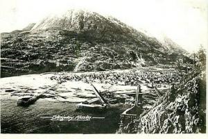 AK, Skagway, Alaska, RPPC, Town View