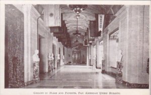 Washington D C Pan American Union Gallery Of Flags and Patriots