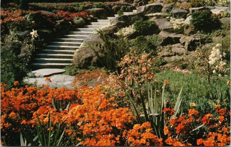 Queen Elizabeth Park Rockery Vancouver BC UNUSED Vintage Postcard D97