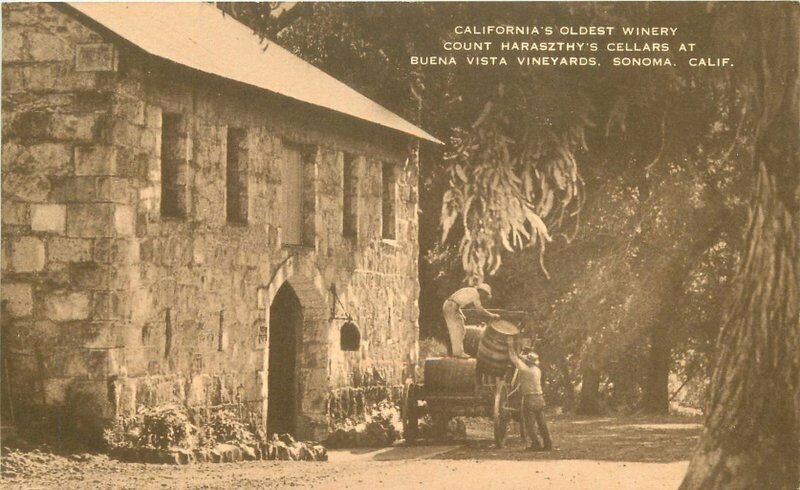 California Buena Vista Vineyard Count Haraszthy's Cellar 1920s Postcard 20-2776