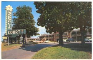 Little Rock AR Magnolia Hotel Court AAA Rated Old Cars Postcard