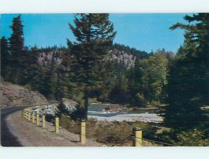 Unused 1950's GREETINGS FROM - ROAD ALONG THE RIVER Oneonta New York NY Q8551