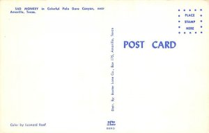 Sad Monkey Palo Duro Canyon - Amarillo, Texas TX Postcard