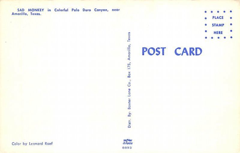 Sad Monkey Palo Duro Canyon - Amarillo, Texas TX Postcard